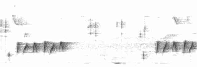svarthodeapalis - ML303317971