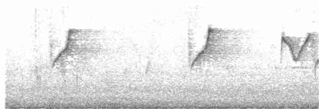 黃腹花蜜鳥 - ML303319161