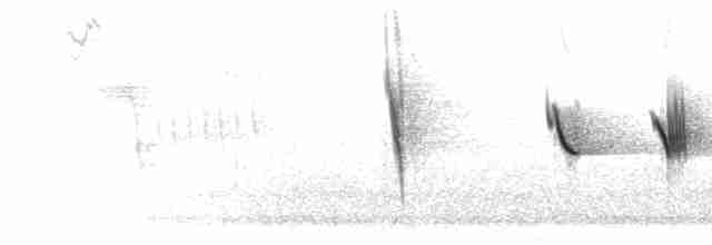 revespurv (unalaschcensis gr.) (sotrevespurv) - ML303323