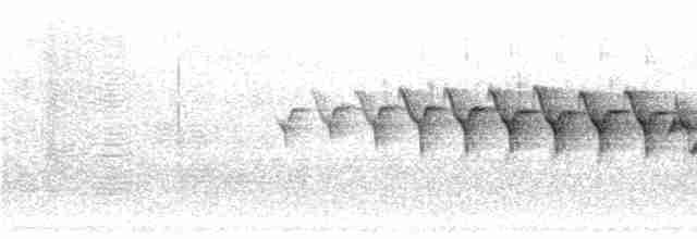 Paruline à croupion jaune (coronata) - ML303358