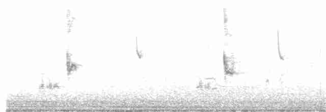 Loggerhead Shrike - ML303358601