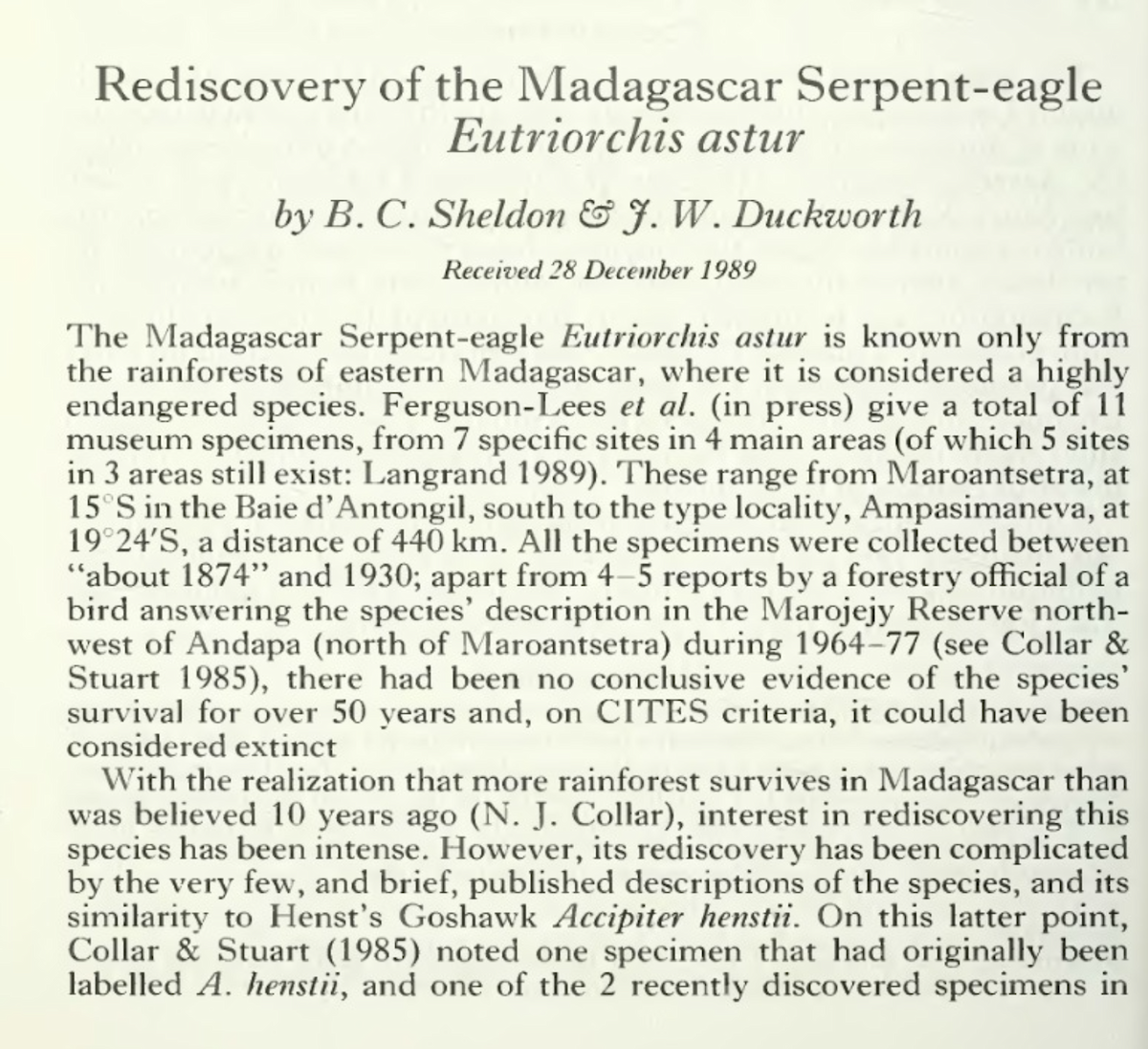Madagascar Serpent-Eagle - Ben Sheldon