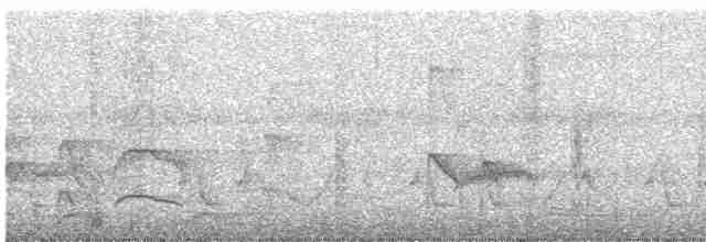 Лінивка-смугохвіст плямистобока - ML303407411