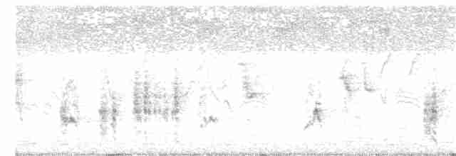 Australian Reed Warbler - ML303526281