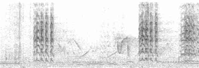 Kara Tepeli Kızkuşu - ML303560681
