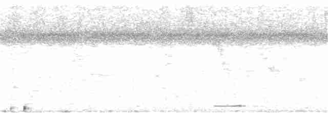 Талпакоті сірий - ML303615181