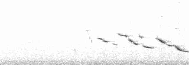 Chihuahuan Meadowlark - ML30364881