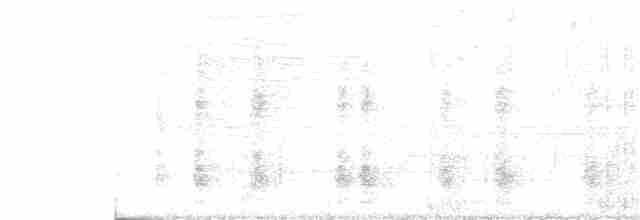 Пестроклювый арасари - ML303697821