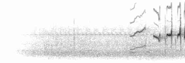 Патагонская трясохвостка - ML303753