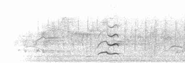 Желтоклювая лысуха - ML303763
