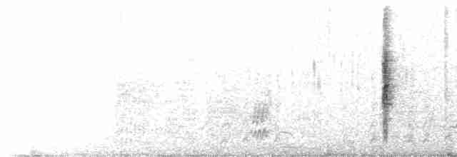 Blyth's Reed Warbler - ML303765811