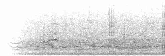 Neotropic Cormorant - ML303783