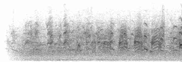 אנפית בקר מערבית - ML303806