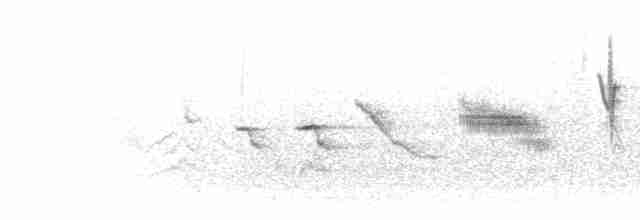 Band-tailed Sierra Finch - ML303856