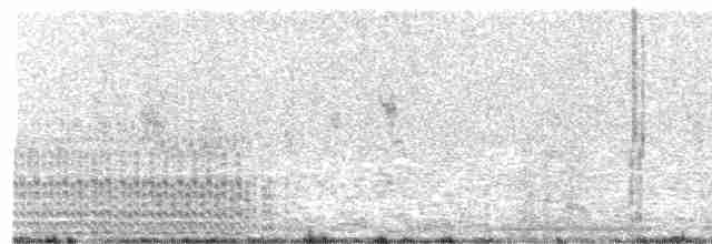 Spotless Crake - ML303863361