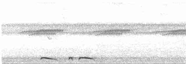 holoubek šupinkový - ML303953211