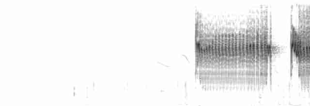 Горихвостковая чилия - ML303954