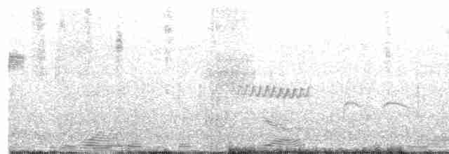 Grass Wren (Paramo) - ML304046761