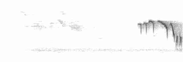 Синиця чубата - ML304070