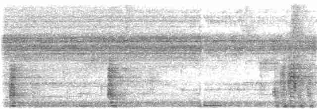 Kara Kanatlı Borazankuşu - ML304174591