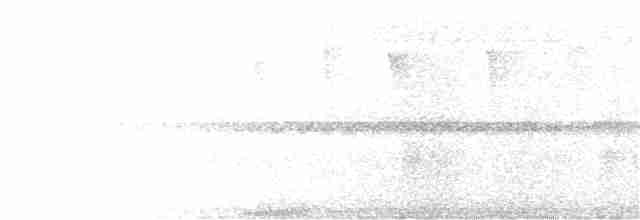 Белокурый дятел-гренадер - ML304193471
