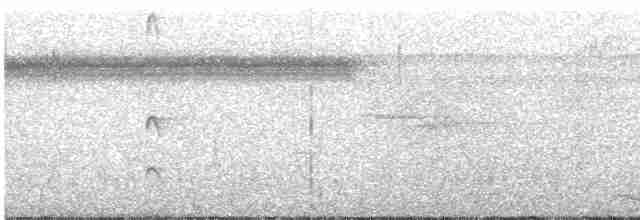 Pic ondé (groupe grammicus) - ML304213511