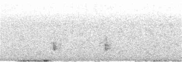 Поплітник каролінський - ML304289201