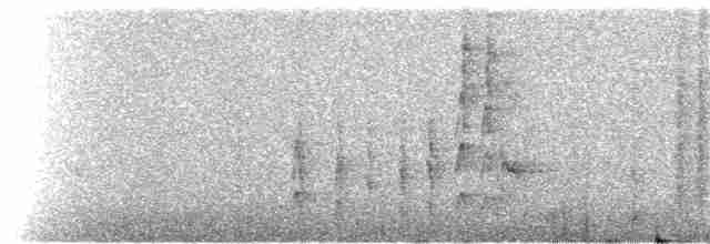 Тиранчик-довгохвіст жовточеревий - ML304316181