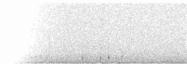 Тиранчик-довгохвіст жовточеревий - ML304321421