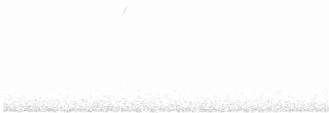 White-naped Brushfinch - ML304340661