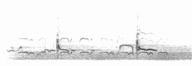 Common Redshank - ML304372