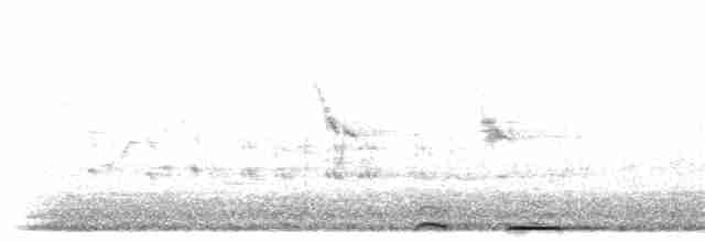 Common Cuckoo - ML304381