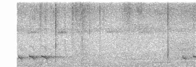 Turuncu Göğüslü Trogon - ML304411961