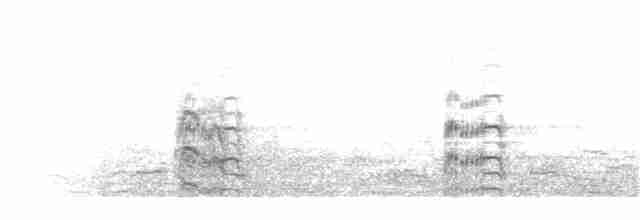 Kara Gagalı Sumru (sandvicensis) - ML304435