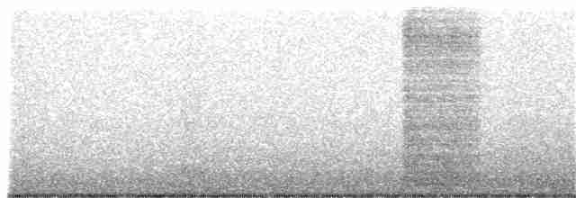 Rotspottdrossel - ML304482141
