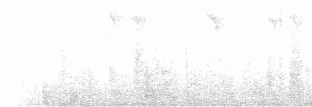 hvitbrynsvartspett - ML304522221
