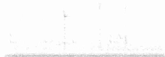 hvitbrynsvartspett - ML304522341