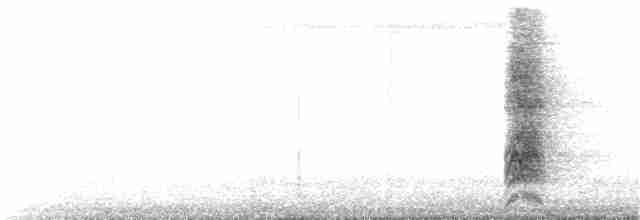 Сойка білогорла - ML304620451