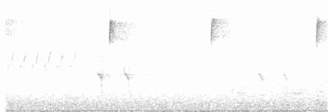 Bec-croisé des sapins (type 2) - ML304709721