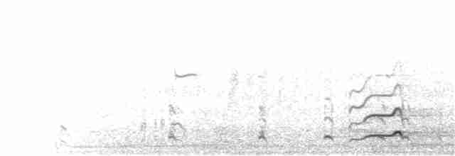 Black-tailed Godwit - ML304725