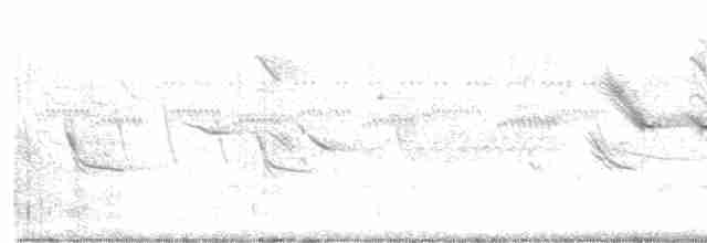 Chalk-browed Mockingbird - ML304755131