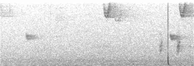Каньонный крапивник - ML304757671