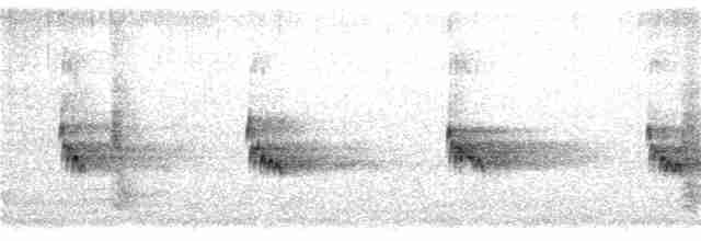 Troglodyte de Caroline - ML304813641