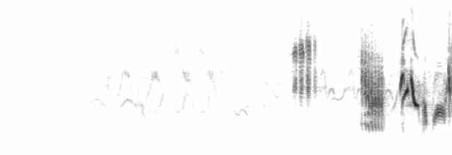 דוחל חום-גרון - ML304819