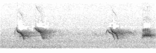 Evening Grosbeak (type 1) - ML30482771