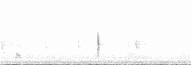 Erguvan Bıyıklı Balkuşu - ML304904021
