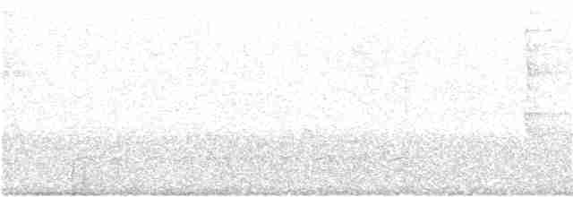 Ширококрылый канюк - ML30490971