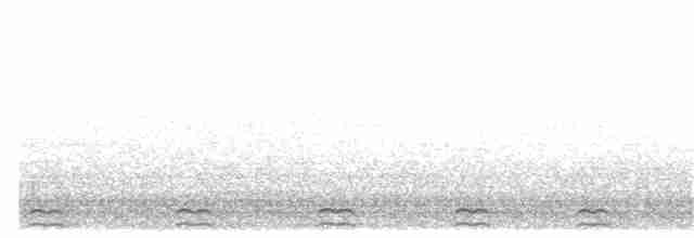 madagaskarugle (madagascariensis) - ML304947571