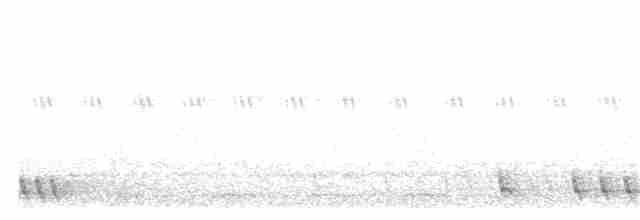 Madagaskarnachtschwalbe - ML304959921