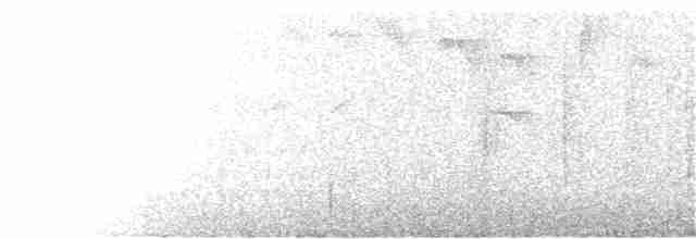 Танагра-короткодзьоб гірська - ML304967001